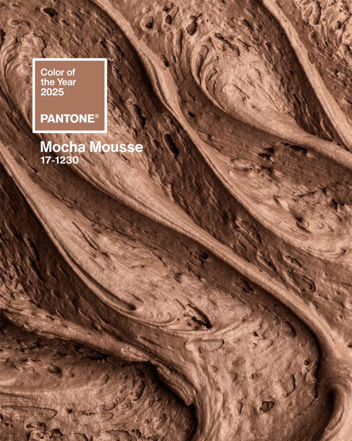 Daily - MOCHA MOUSSE IS 2025 COLOR OF THE YEAR 🤎 LOOK: Pantone has ...