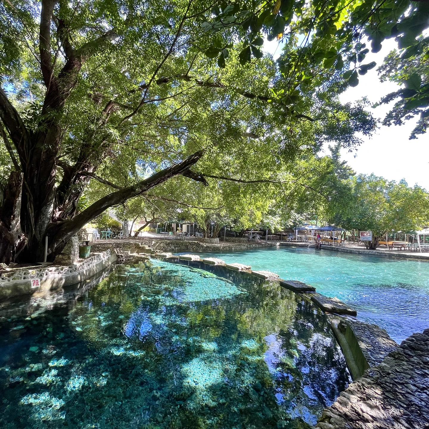 Sugbo-Byahe - 📍 Banyan Springs Resort — Tabogon, Cebu 🍃 | Facebook