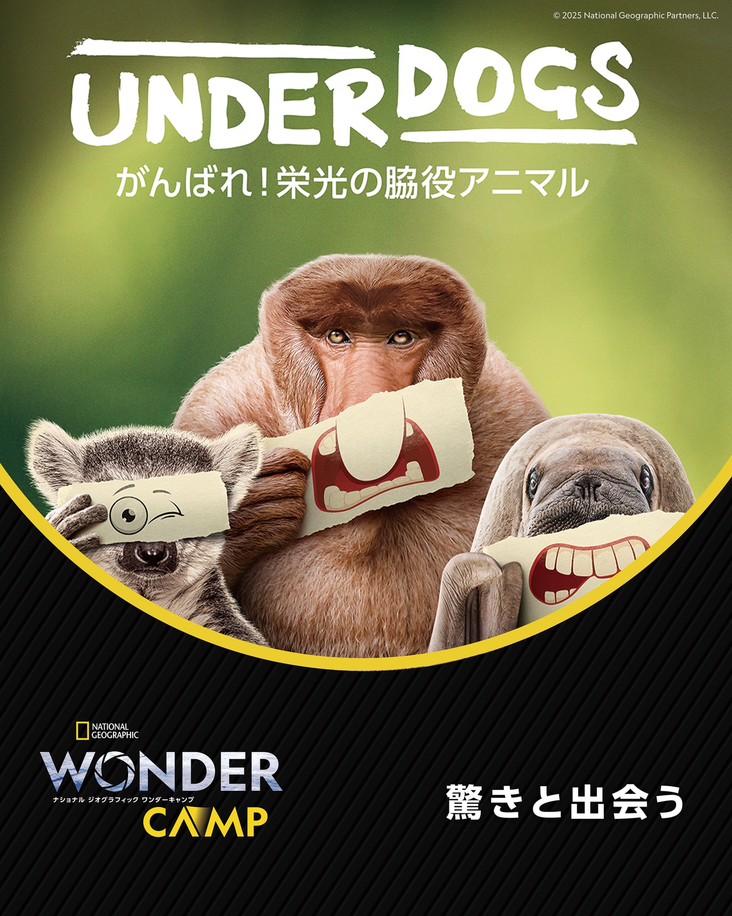 National geographic ナショナルジオグラフィー ナショナル ジオ