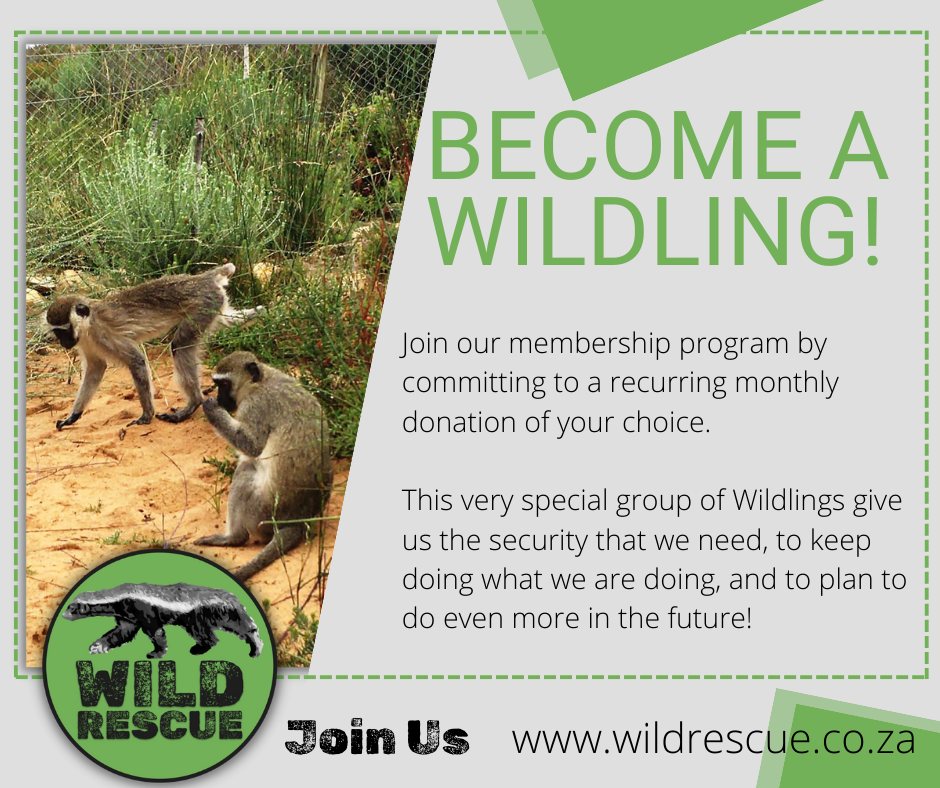 Wild Rescue NPO | Riversdale
