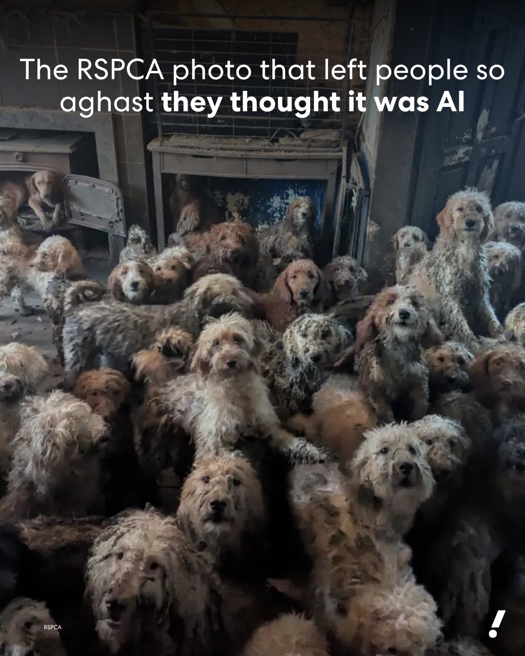 Porn Picture