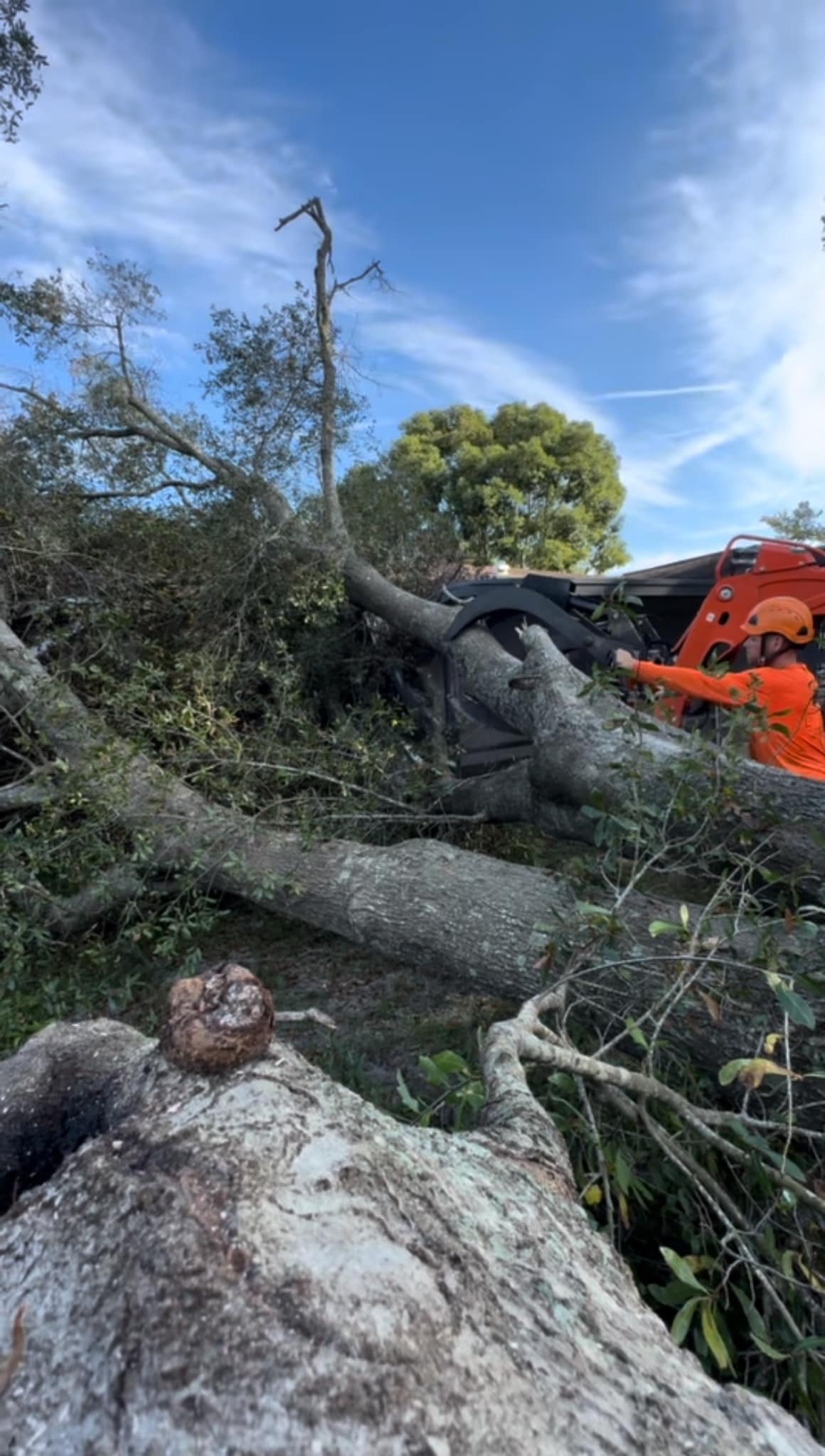 Hi-Point Tree Service
