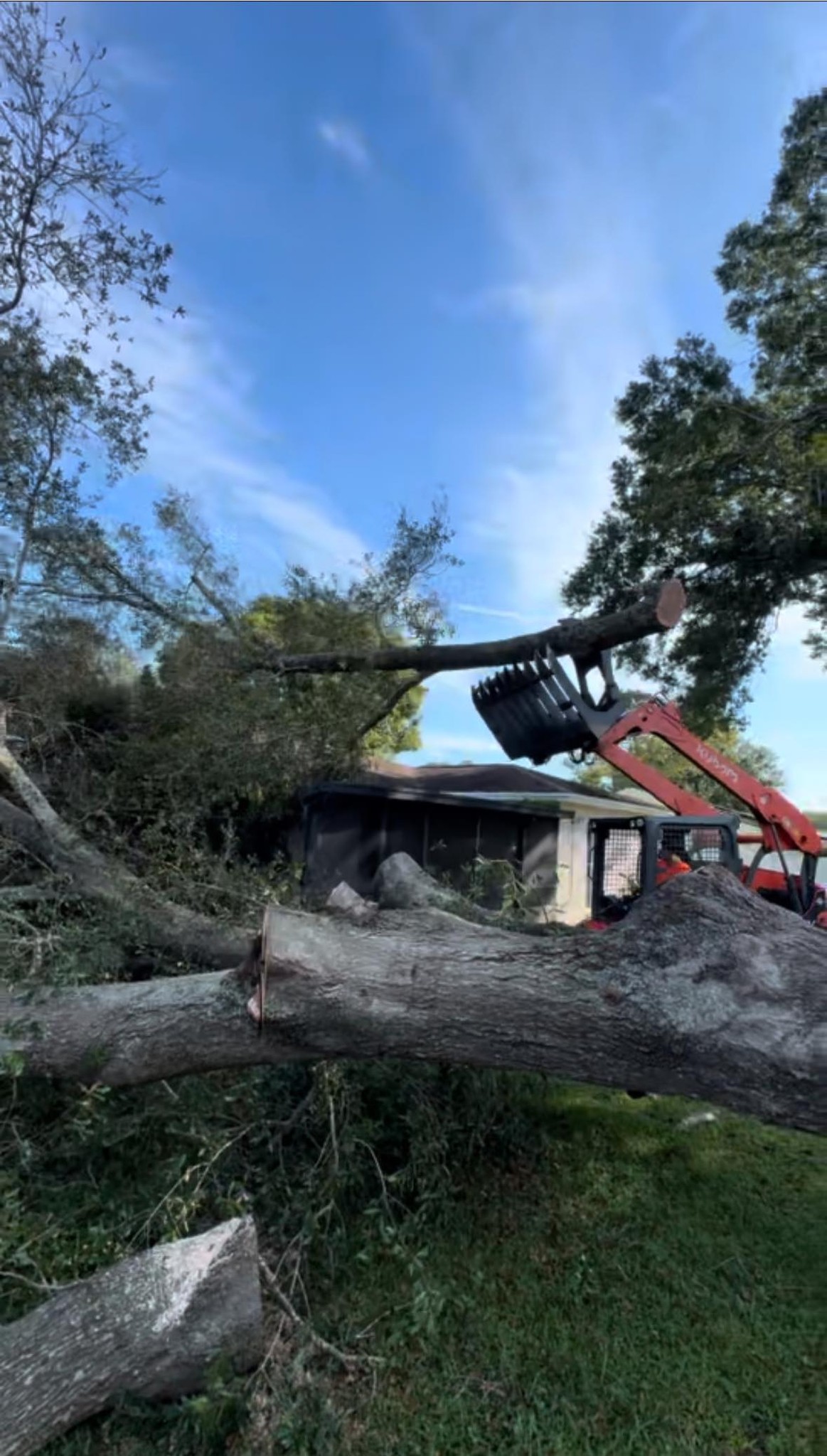 Hi-Point Tree Service