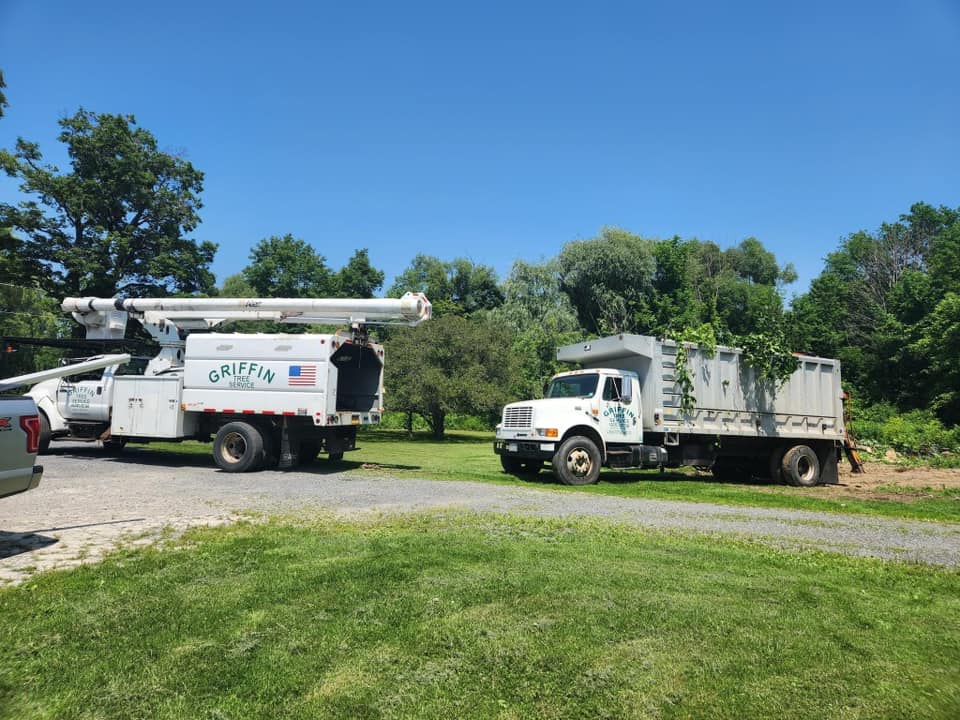 Griffin Tree Service | Jamesville NY