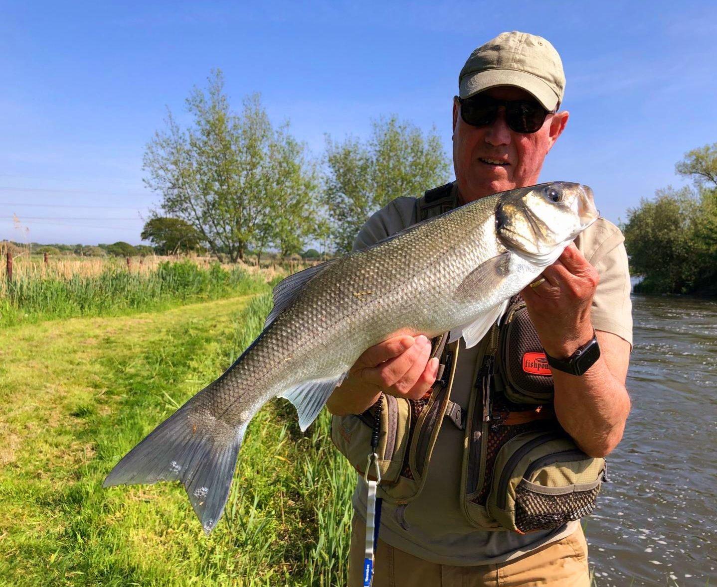 And every now and then when Salmon... - The Hampshire Avon | Facebook