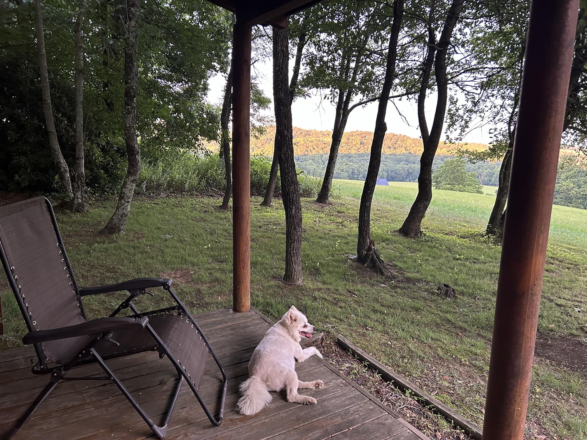 Poor Farmer's Cabin Rentals