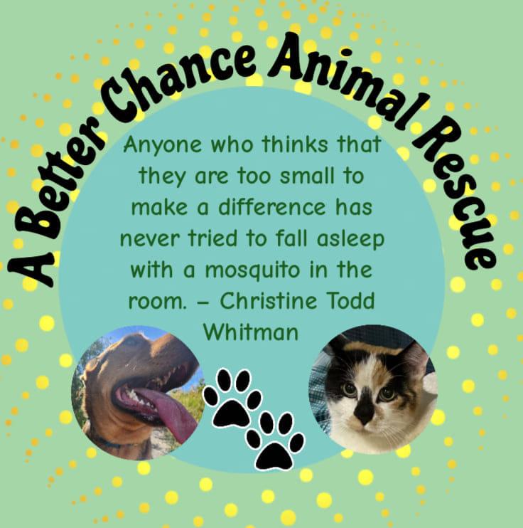 A Better Chance Animal Rescue | Pincher Creek AB