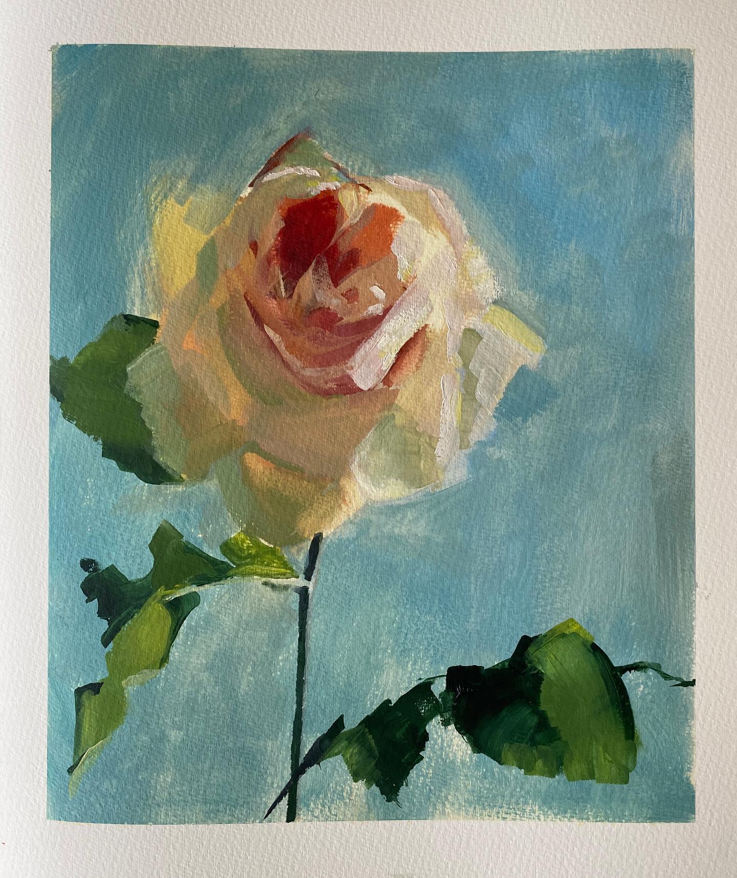 Rose study for today, oil on board, 6 x 8, 3 hours.