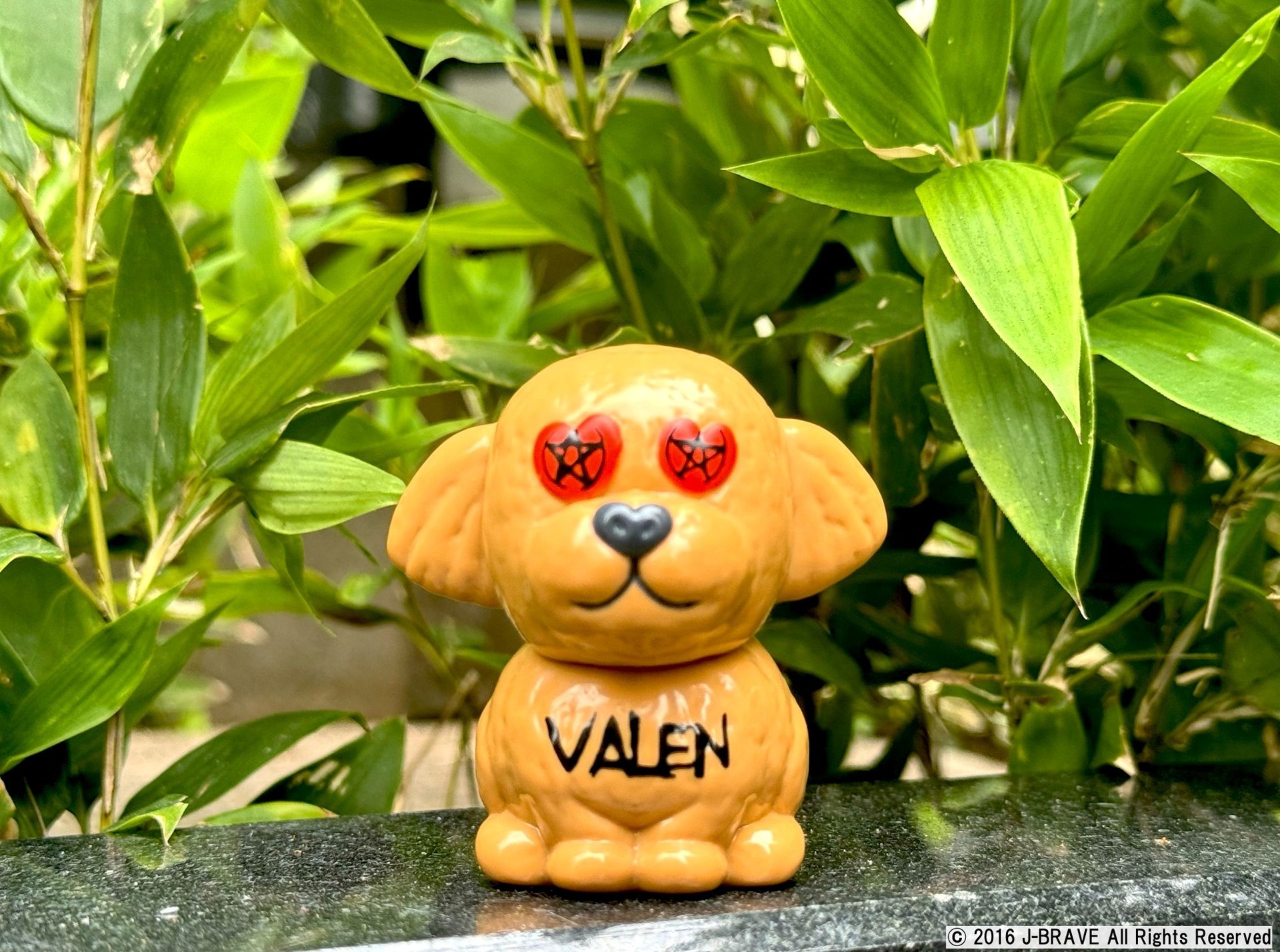 Today's 1.6】 VAG40.5より田原俊彦氏の愛犬「VALEN」が絶賛稼働中
