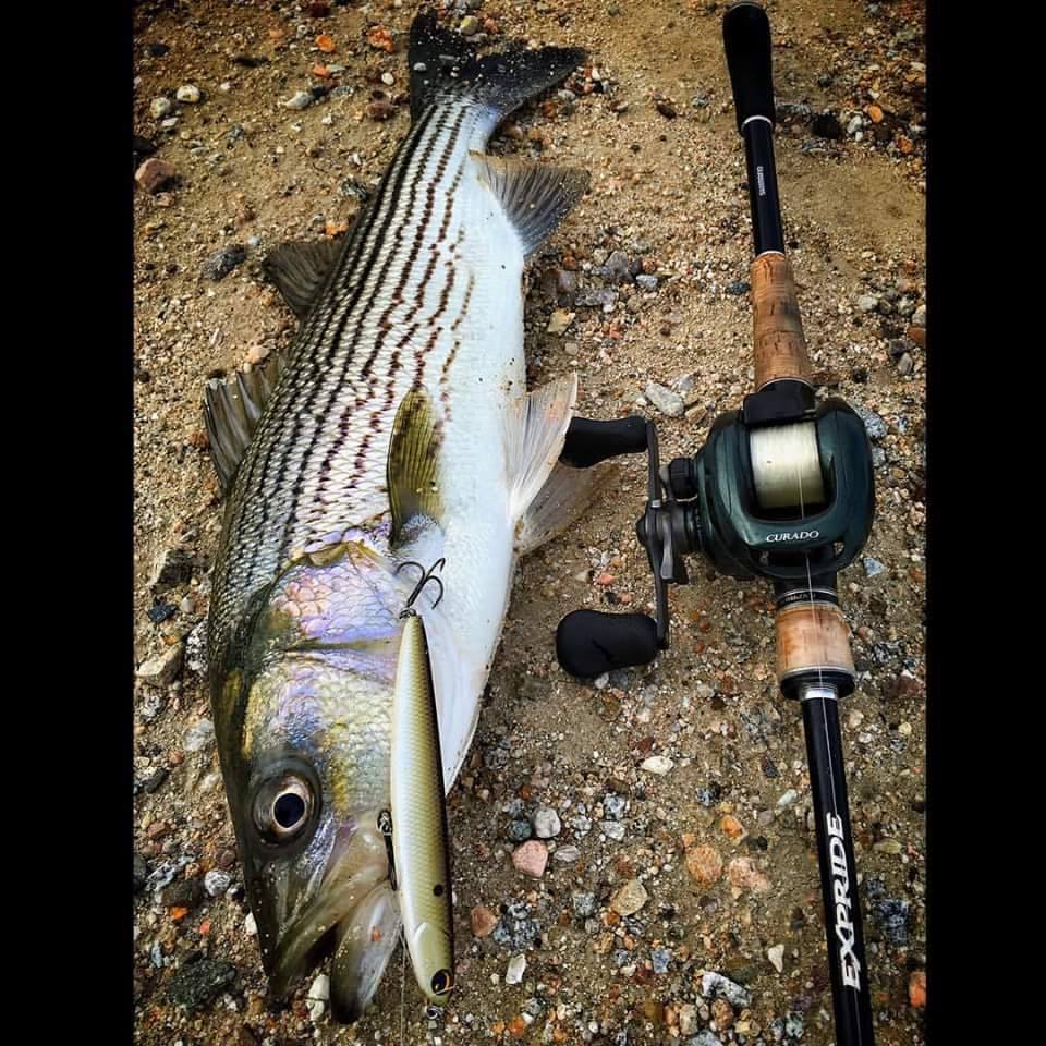 Finally Friday and time for... - Cope's Tackle & Rod Shop