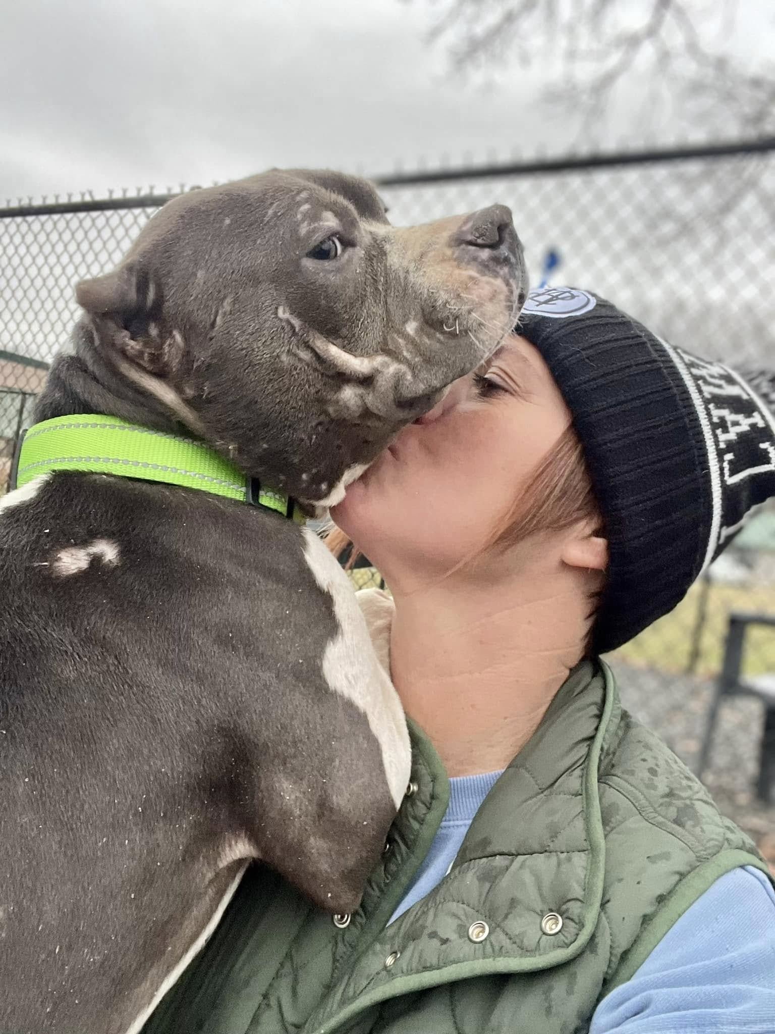 Save the Animals Blue Ridge Rescue