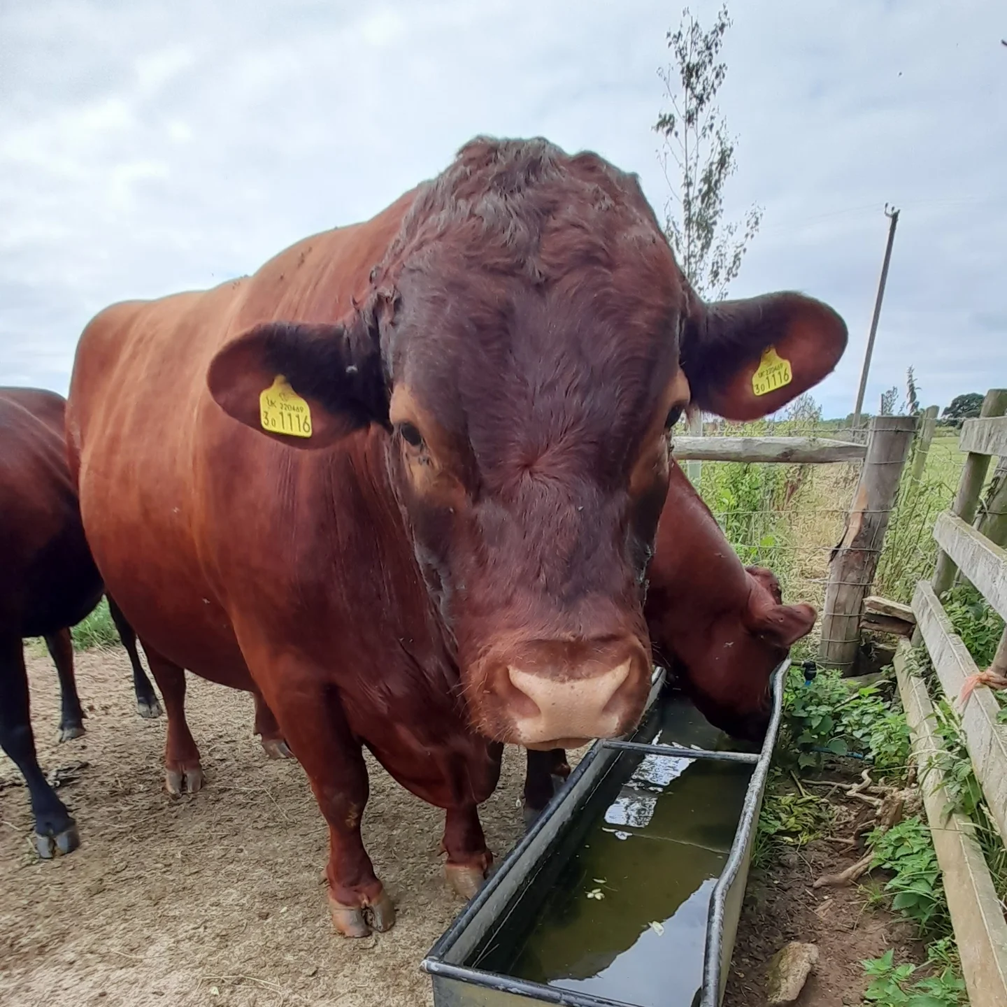 Whaddon Grove Farm | Trowbridge