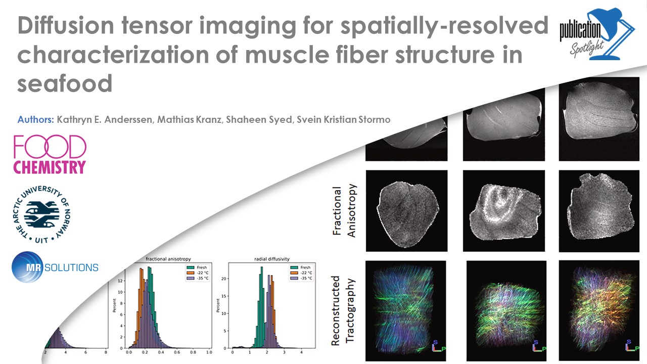 MR Solutions - Meet our team at the virtual ISMRM and discover the most ...