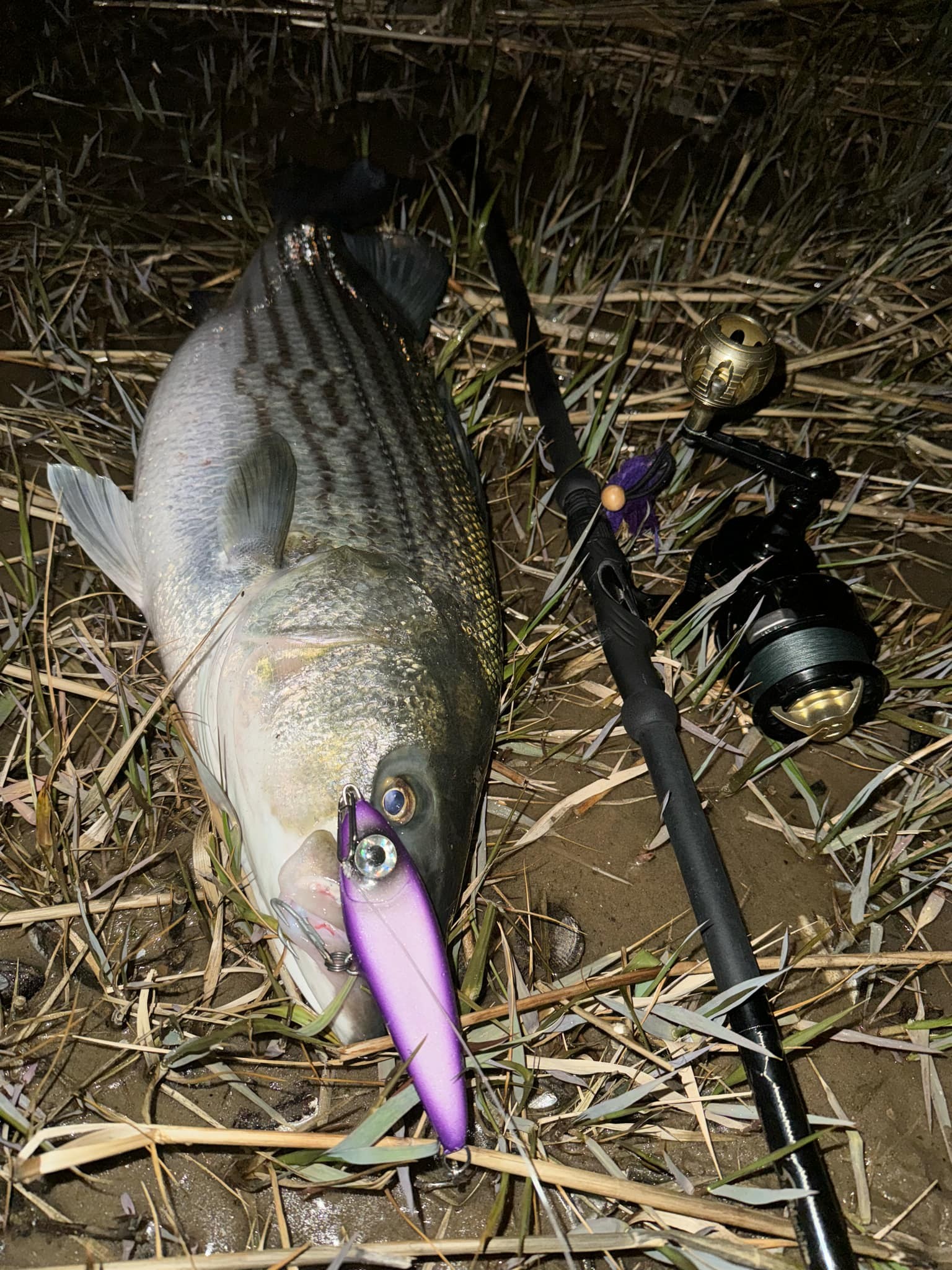 customized tackle bag Beyond Fishing - The Voyager Introducing Rovex Radion Drum The spill Sucker COLOUR:LAKE SMELT