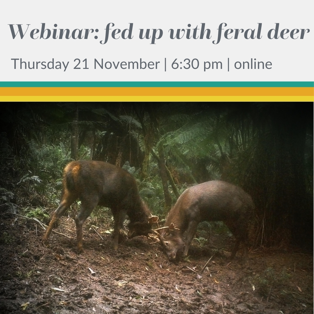 Victorian - Feral deer are trashing and trampling Victoria’s landscapes ...