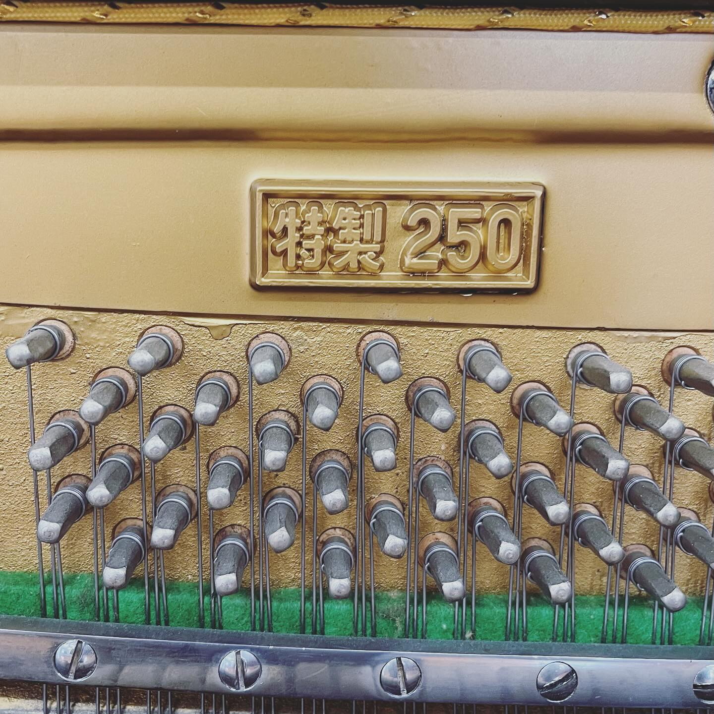 Forstei von Melos 特製250 というピアノ。 ロゴを磨こうとしたのか 