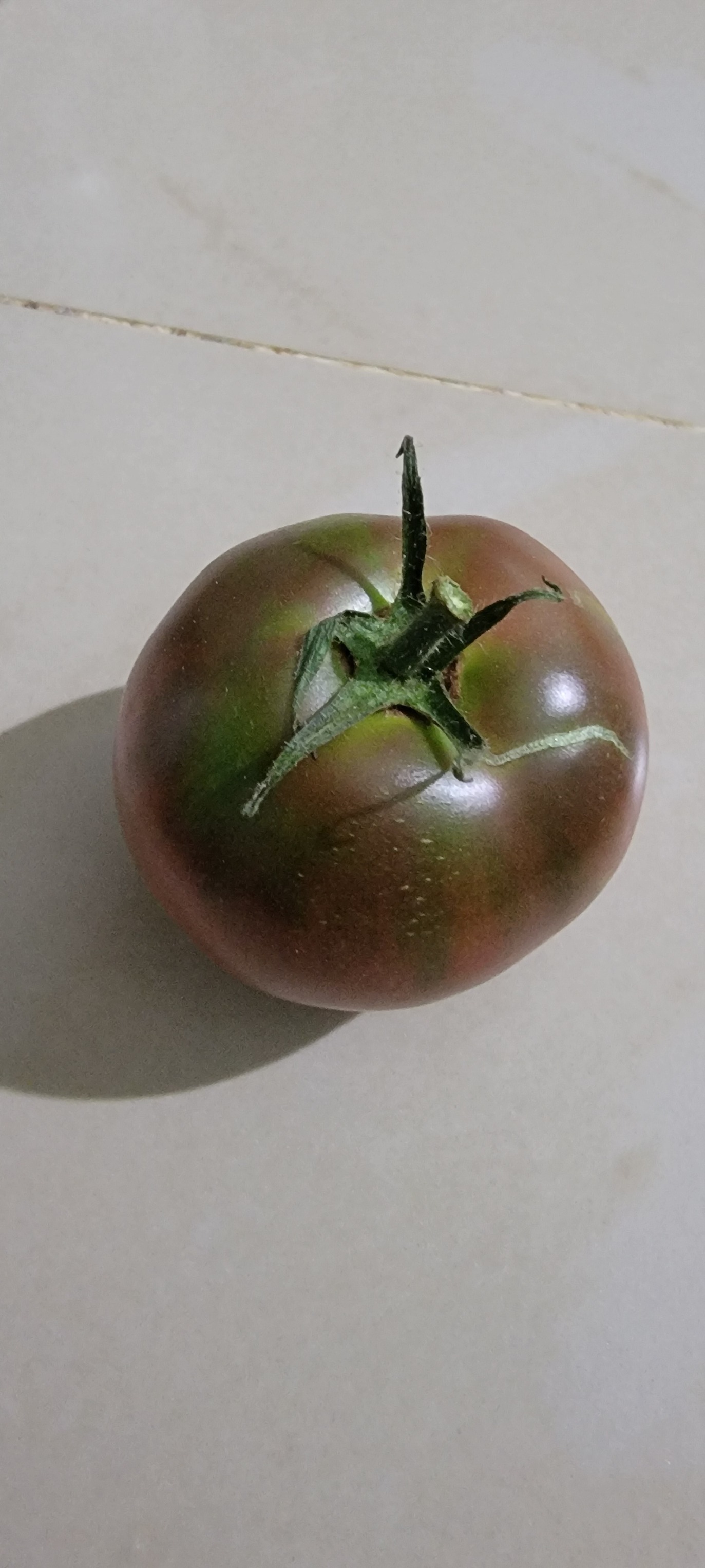 What type of tomato is this?