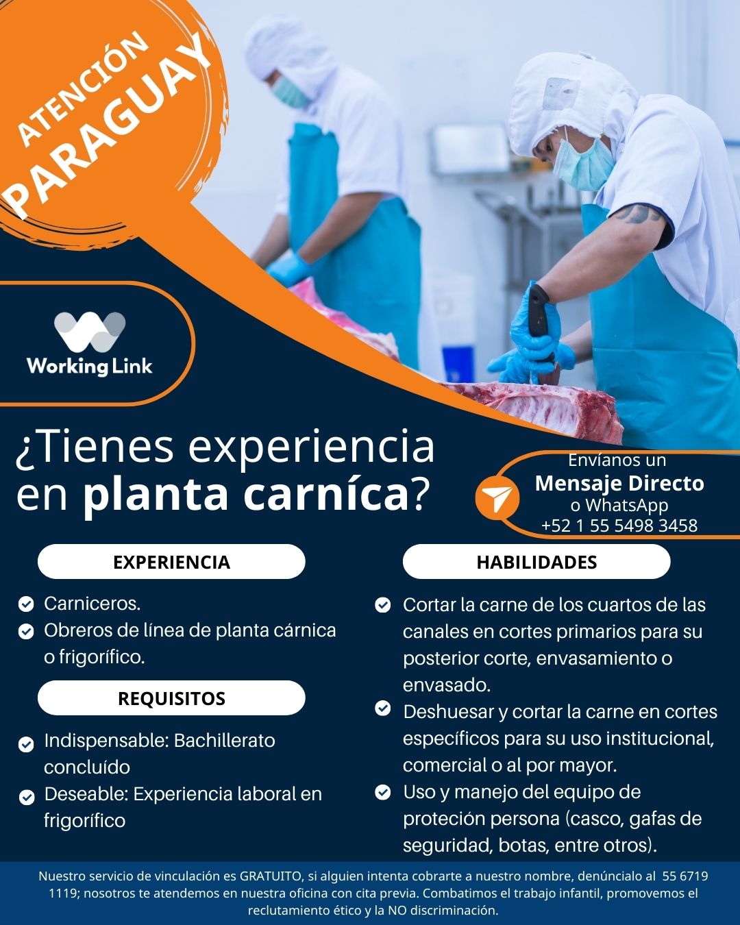 Working Link, S.A de C.V | Mexico City