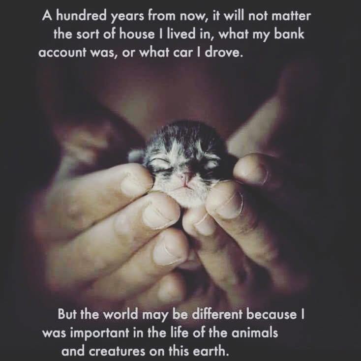 After 6ish... - Winter Ranch Animal Sanctuary - WR Danes | Facebook