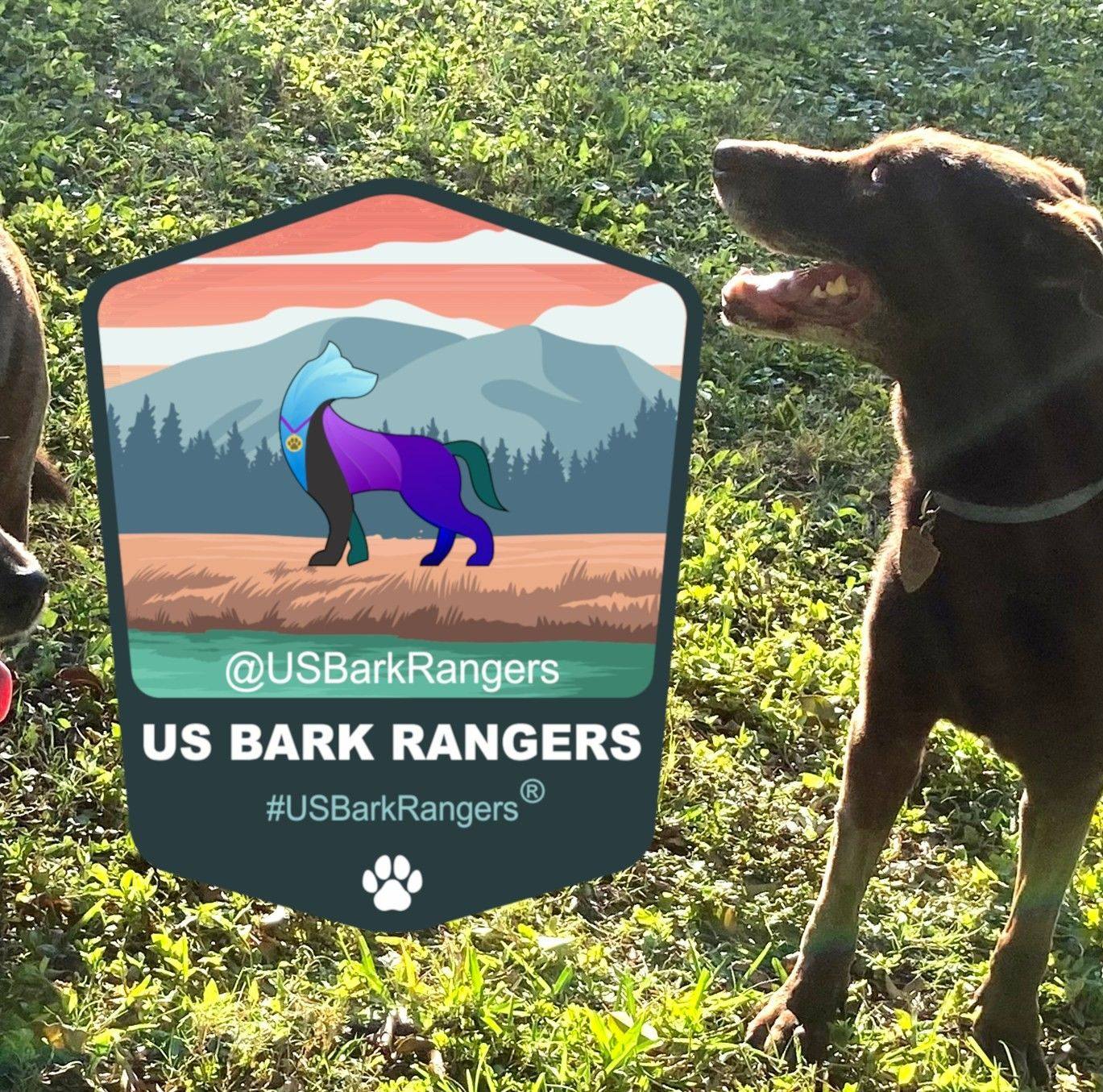 US Bark Rangers #USBarkRangers