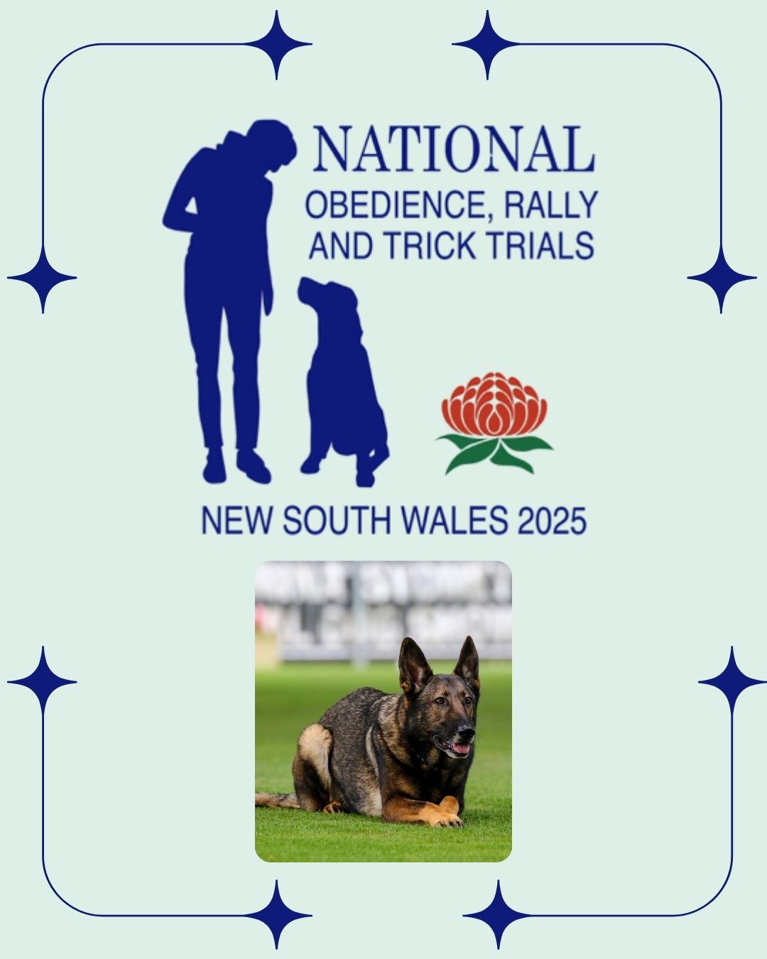 DOGS - 🐾🎉 The 2025 National Obedience, Rally & Tricks Trial Starts ...