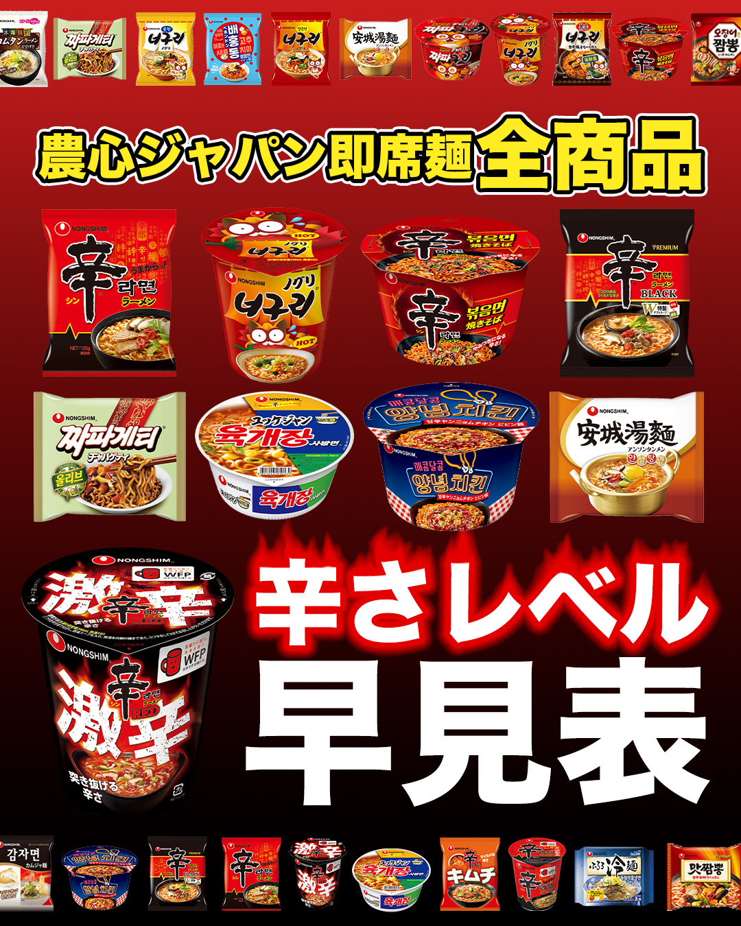 活動歴および当時の関連ビジュアル記録