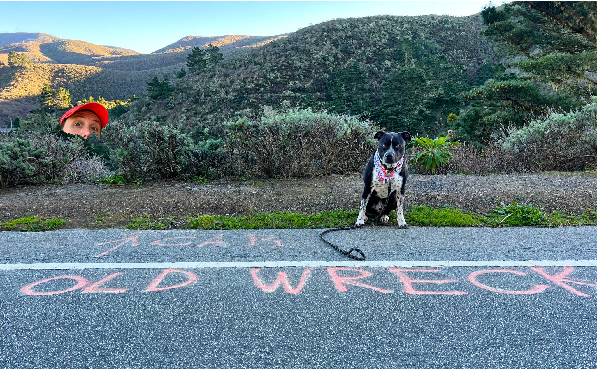 Oscar the Pooch - ...Here's Mom's version of the day we...