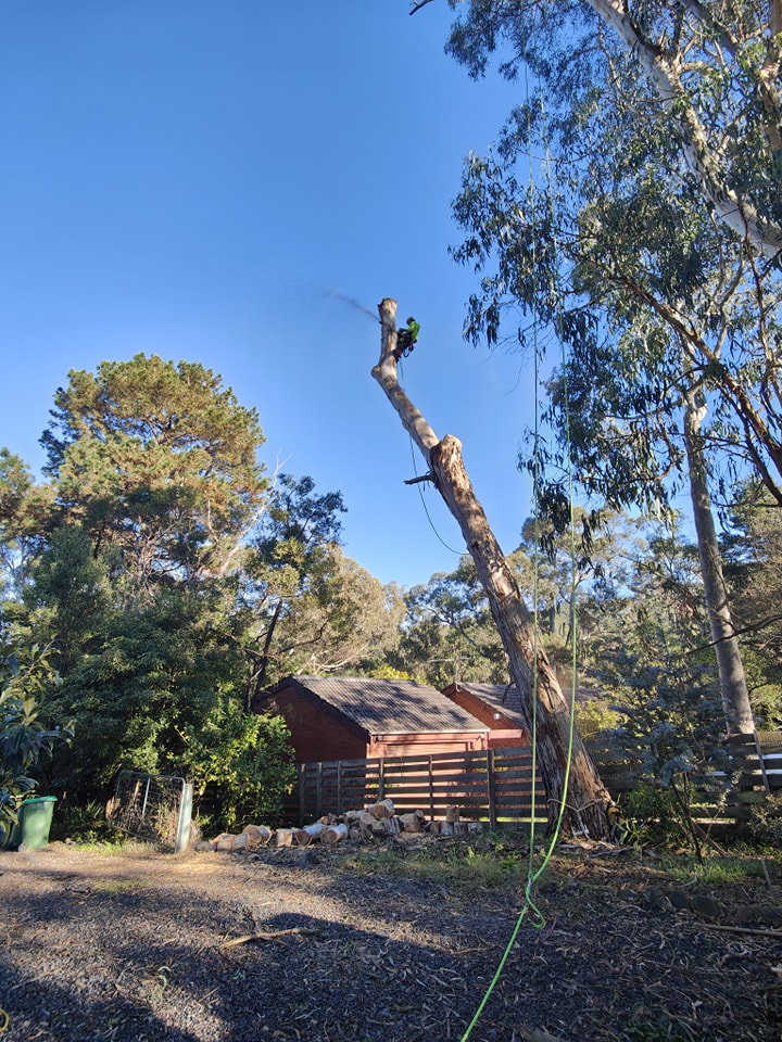 Ranges Tree Works