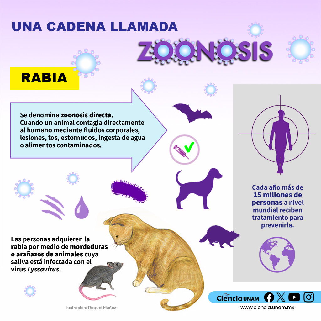 Ciencia UNAM - #Salud | Hoy es el Día Mundial de la... | Facebook