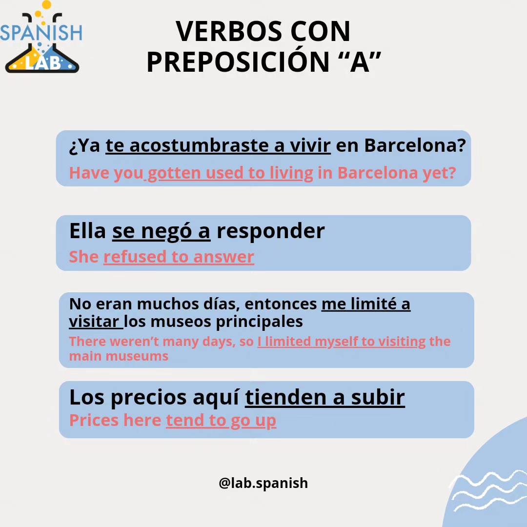 Spanish Lab | Rotterdam