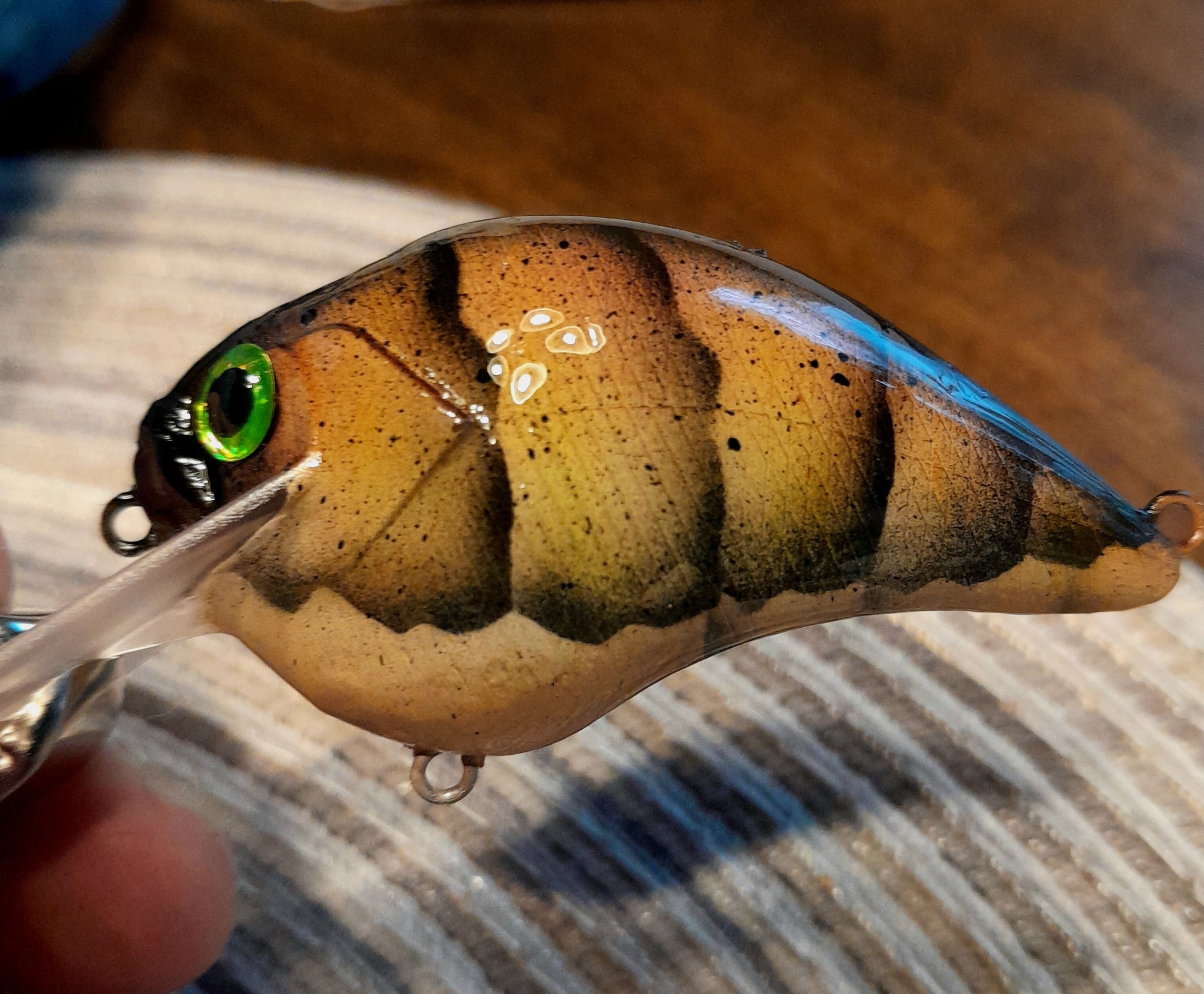 crawdad fishing lure pattern Signature Intruder especially bass Craw pattern lure for fast