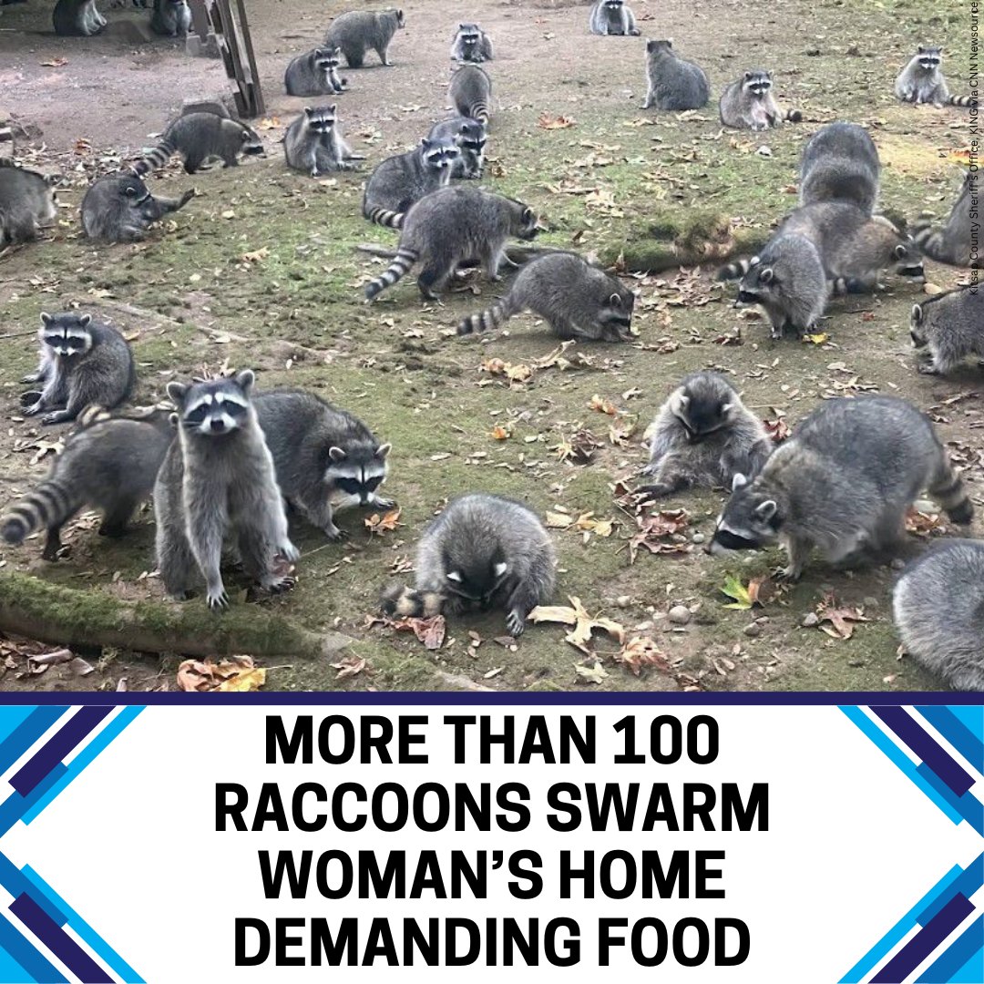 6 News WOWT - What would you do if you saw this in your... | Facebook