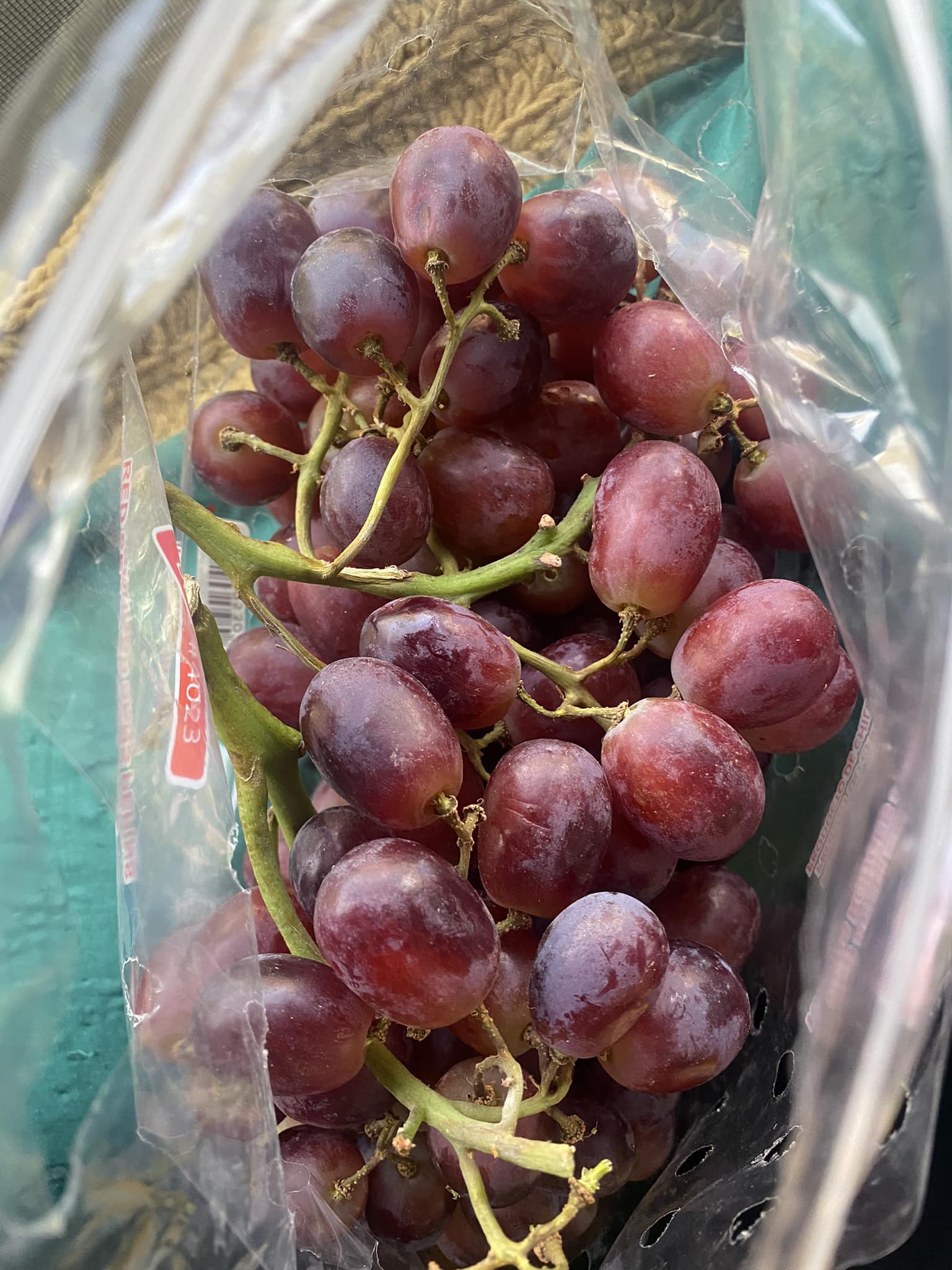 Which bag of grapes to buy at the store?