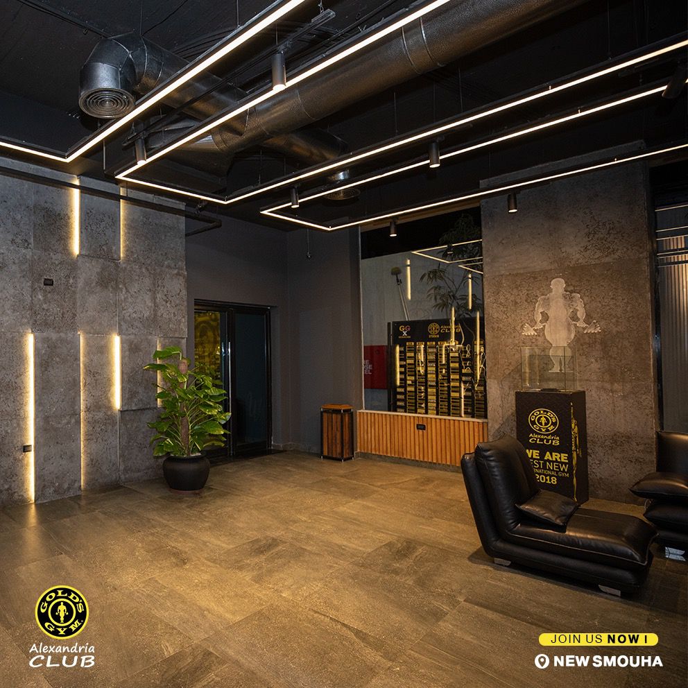 Wealth Gym \... - Wealth Gym \ Gold's Gym Alexandria Club