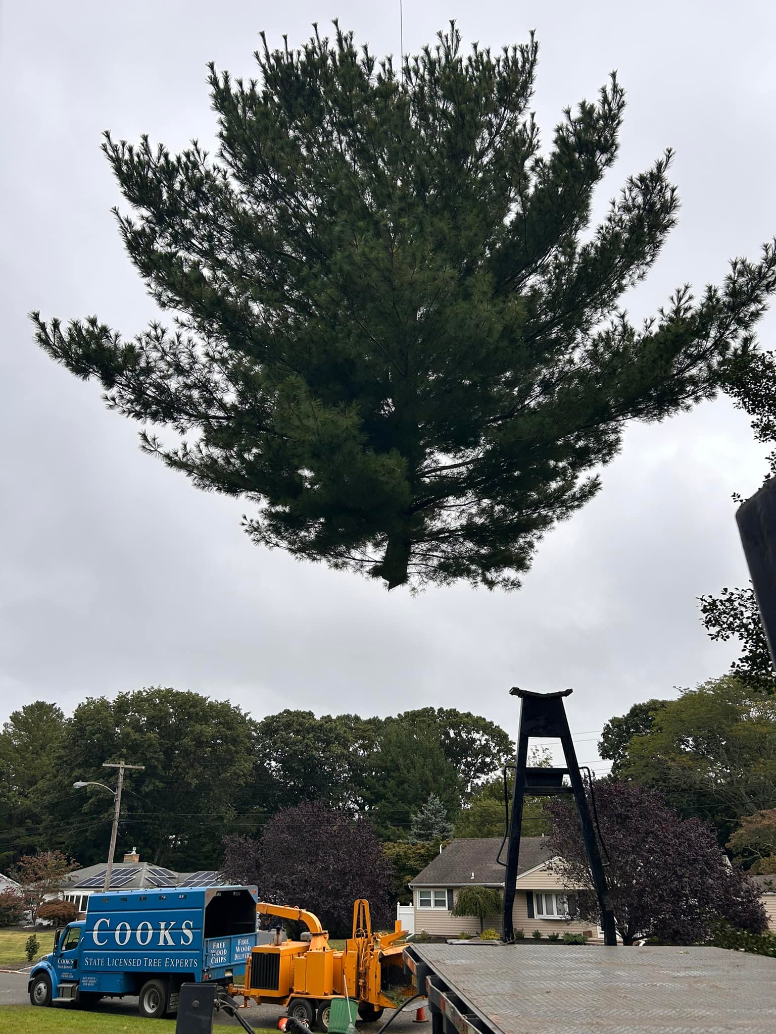 Cooks Tree Service inc. | Lincroft NJ
