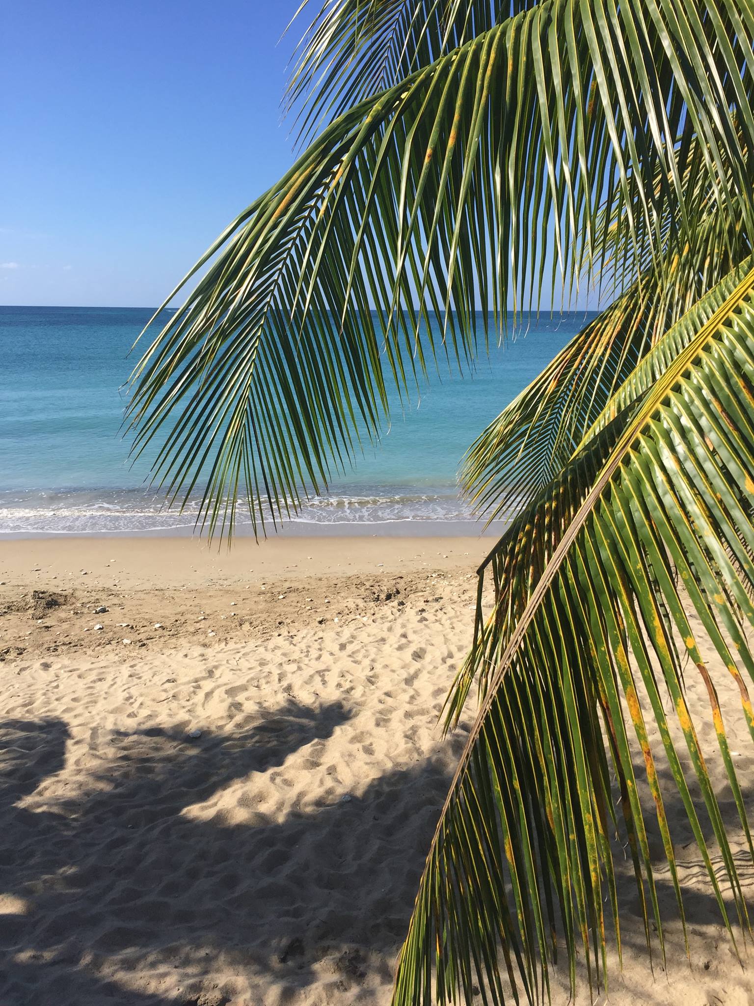 The Ocean Ridge, Ocho Rios | Ocho Rios