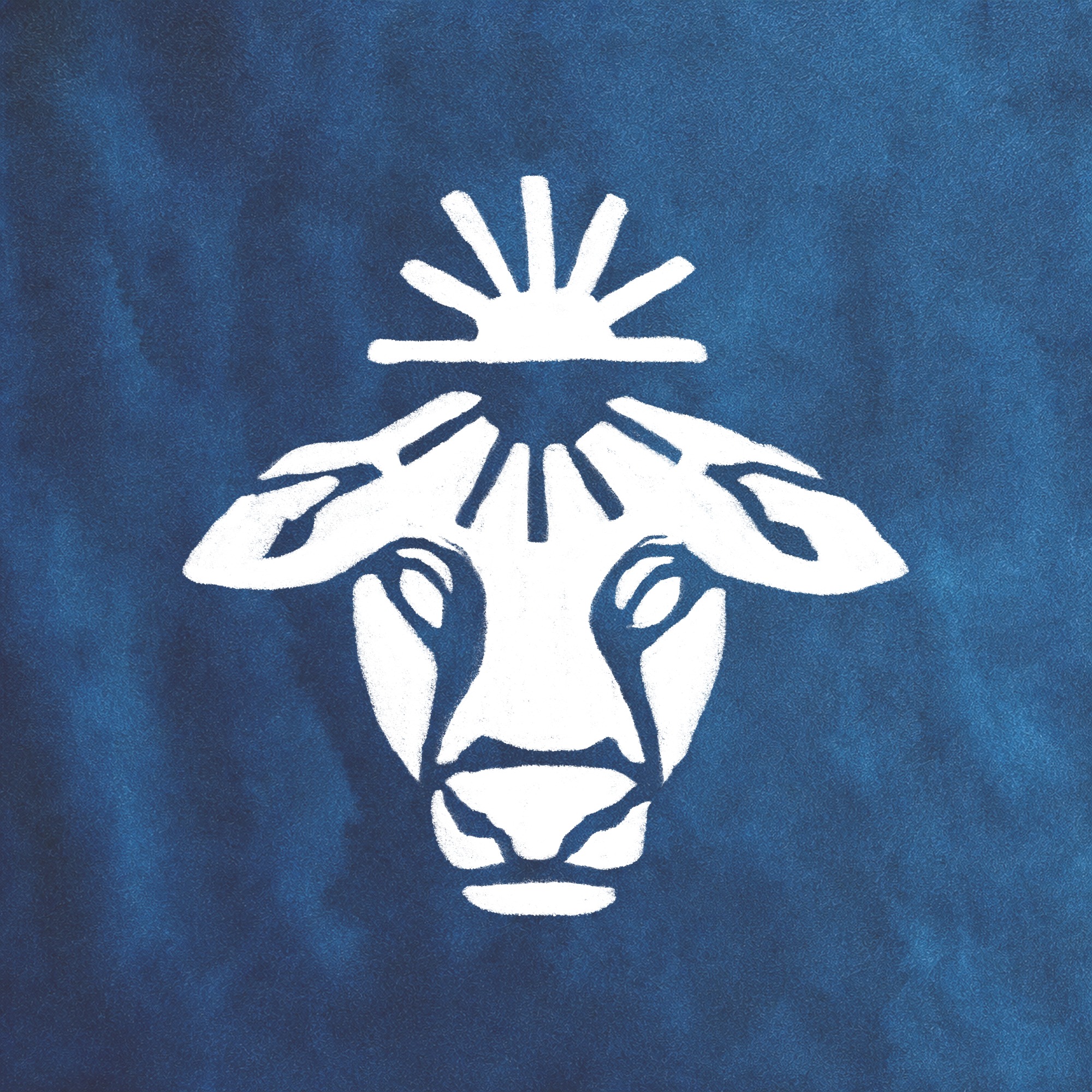 I used to buy protein, iron, collagen and colostrum separately. Now it ...