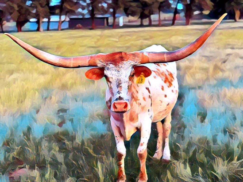 Comanche Rose Ranch | Groesbeck TX