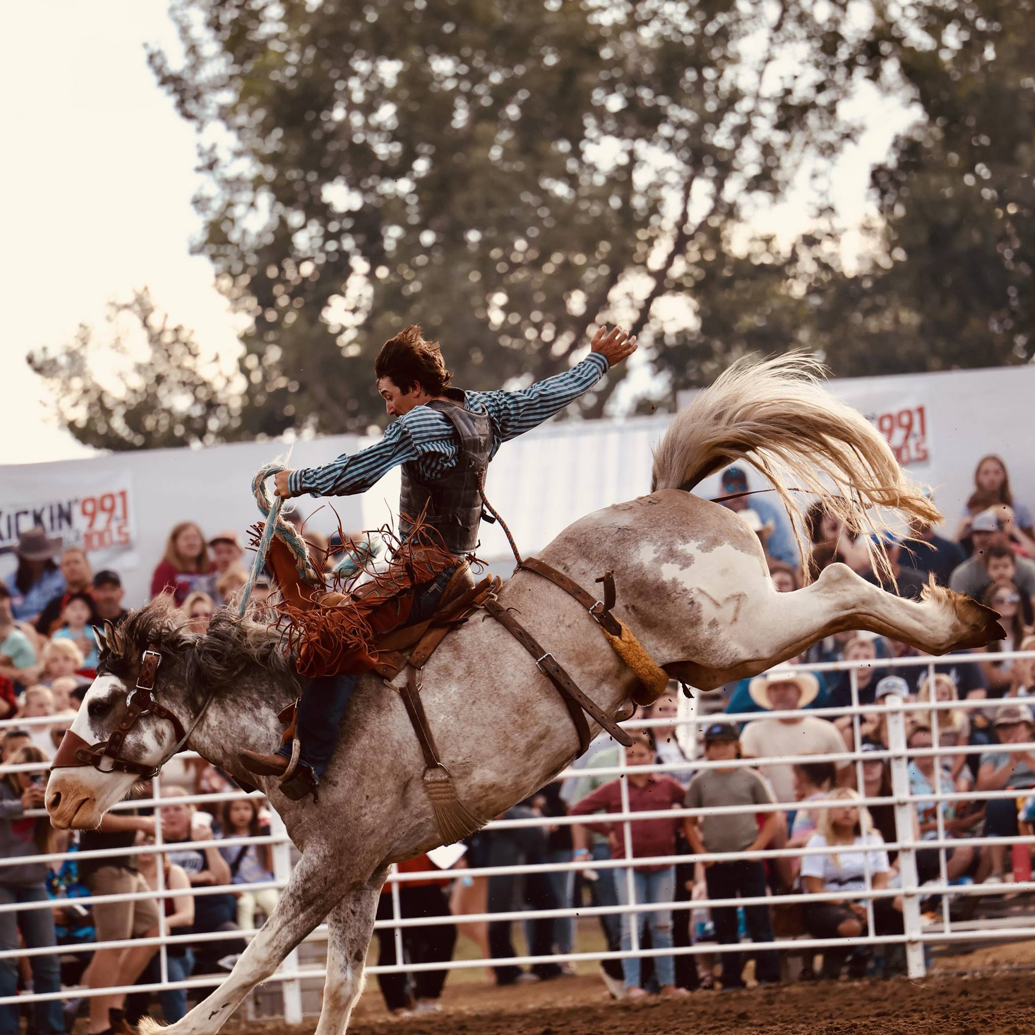 Irene Rodeo Association | Irene SD