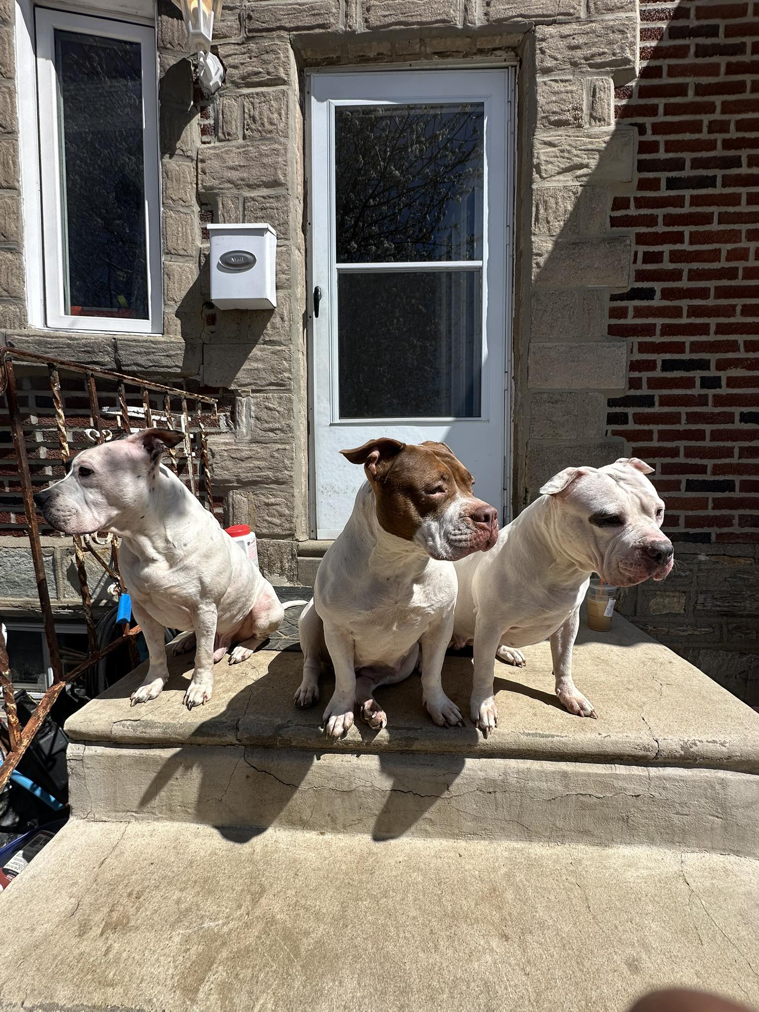 Jim Rivas