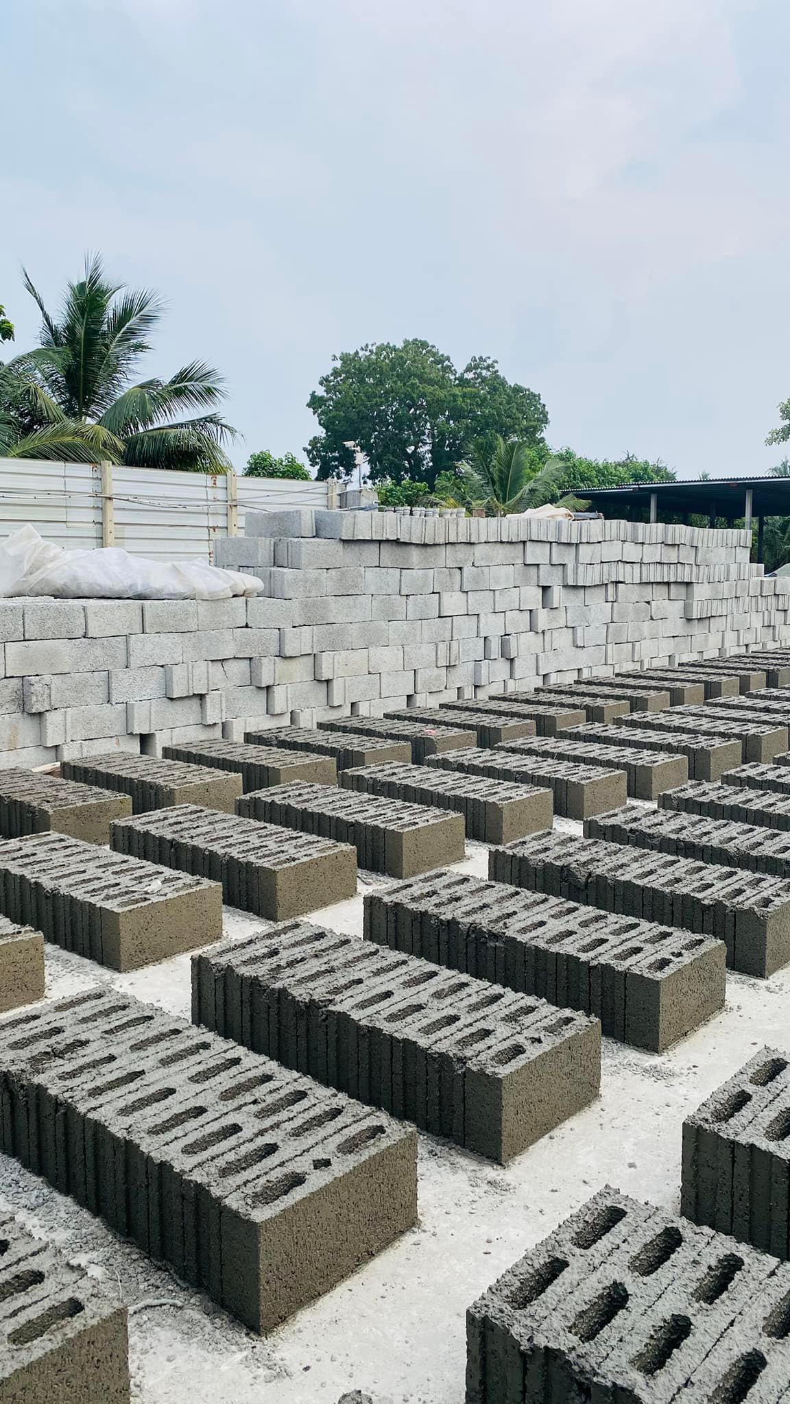 Mr. Concrete | Point Pedro