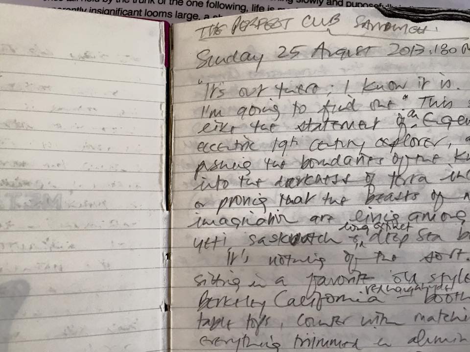 Swearing In English by John Mercer - It appears I've been writing ...