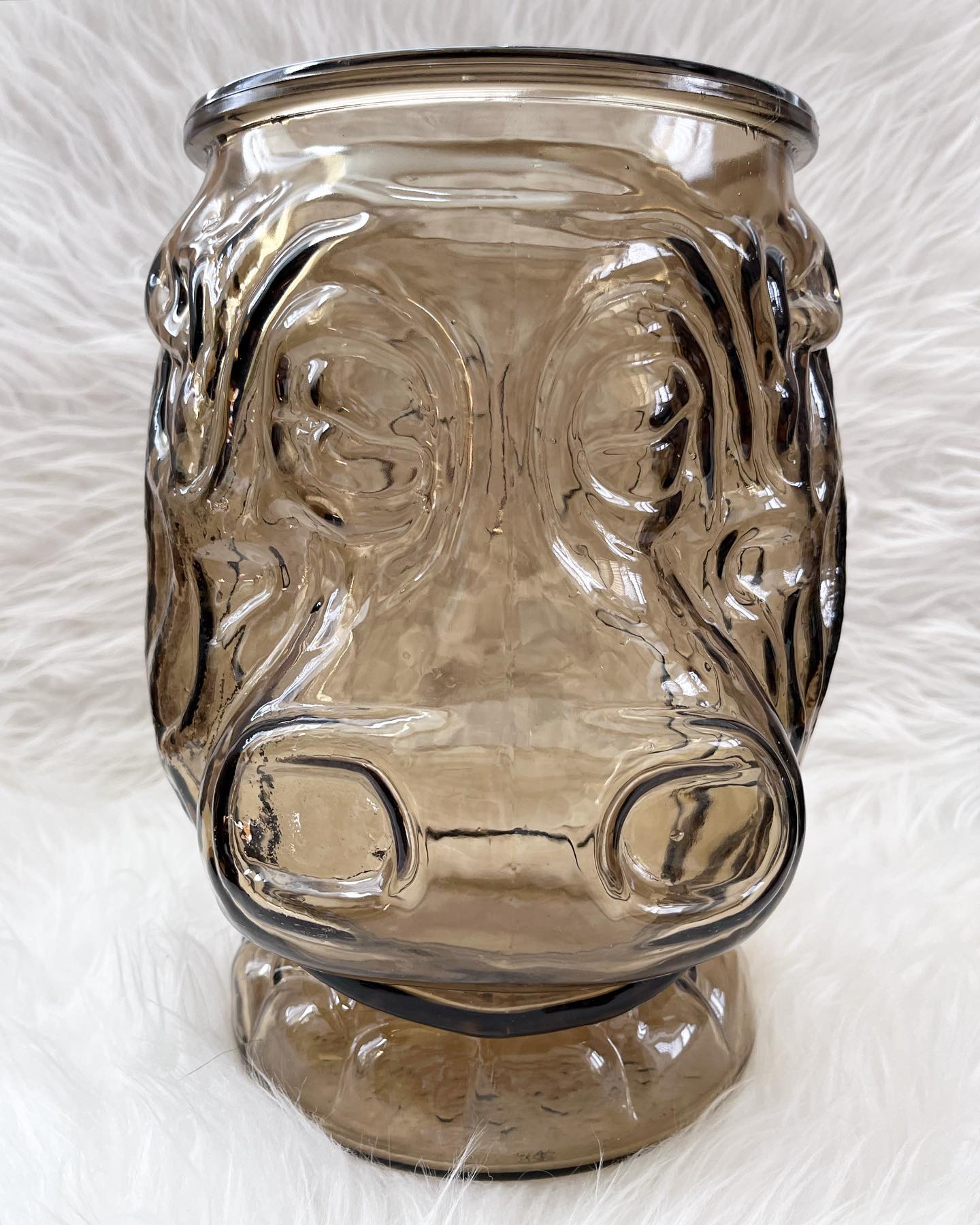 1970s Libbey Glass Piggy Bank Terrarium