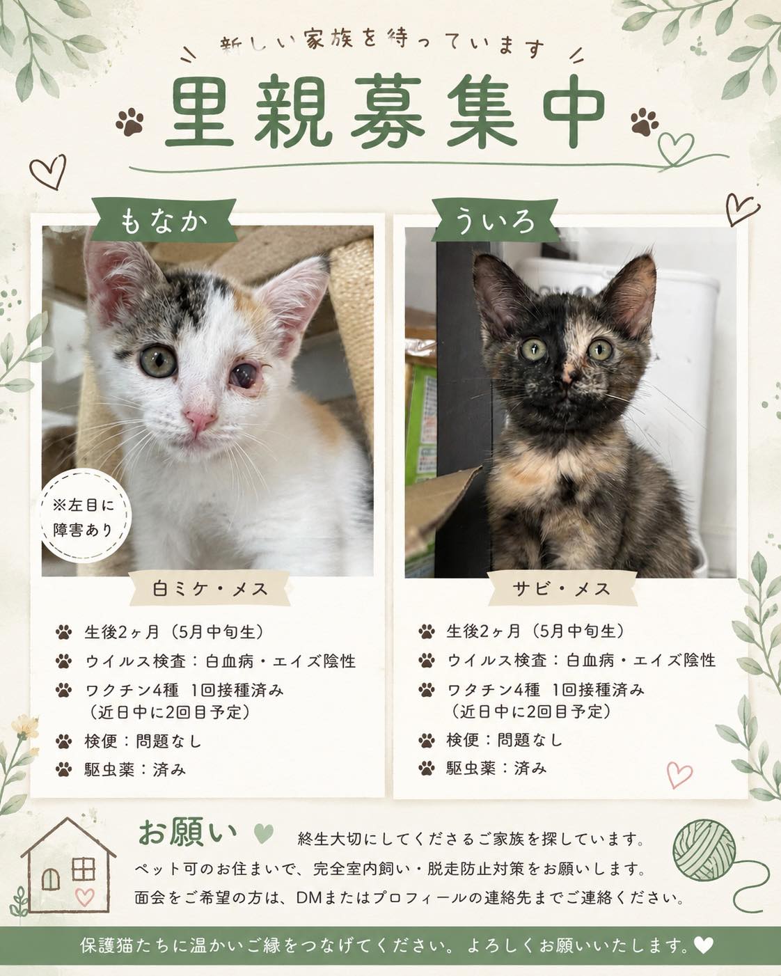 猫米まおみい (@maomishimokita) • Facebook