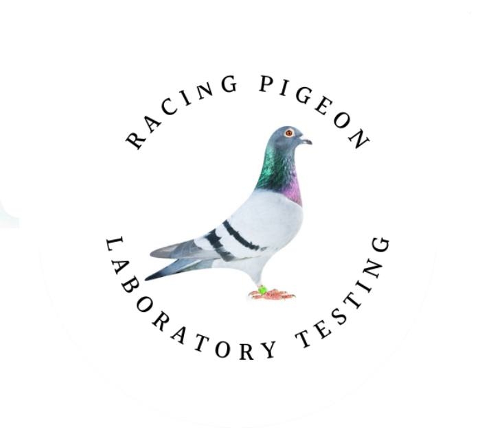 Diagnostic - Racing Pigeon Colombovac PMV Paramxyo Pigeon Vaccine 100 ...