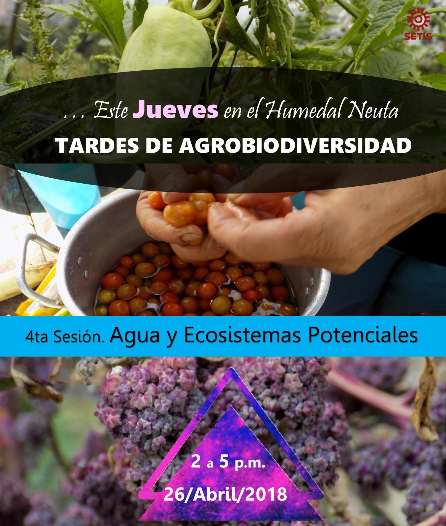 Semillas de la Tierra del Sol SETIS - Mañana en el Humedal Neuta 🌈 ...
