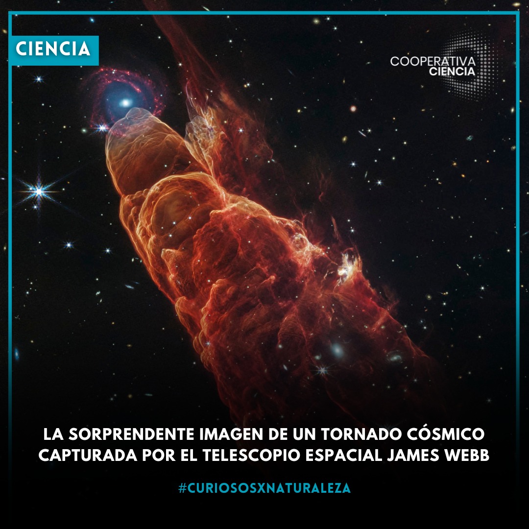 Cooperativa - (Vía Cooperativa Ciencia) Gracias a la alta resolución ...
