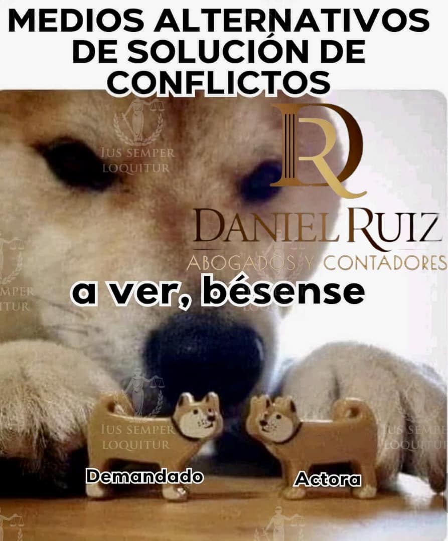Daniel Ruiz - Abogados | Machala