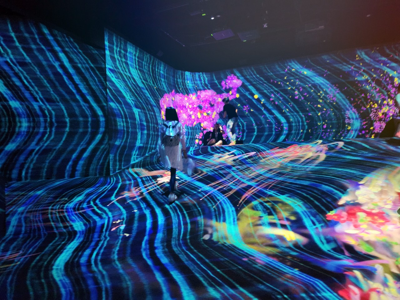 福岡 Teamlab Forest... - Dimensions and Colors in Life 魔法貓的旅程