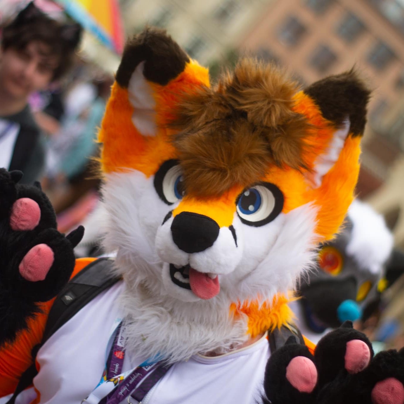 Electro Fox